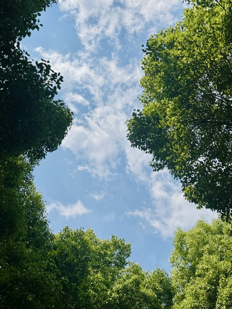 2025.5.11 周日 晴 幸福无时不在。