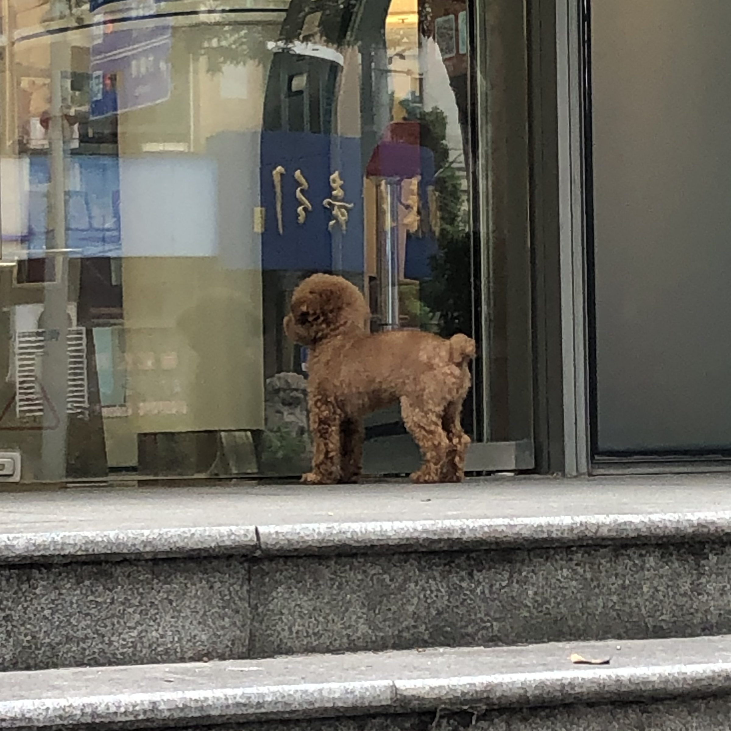 2024.1.23 周四 阴天 很热。