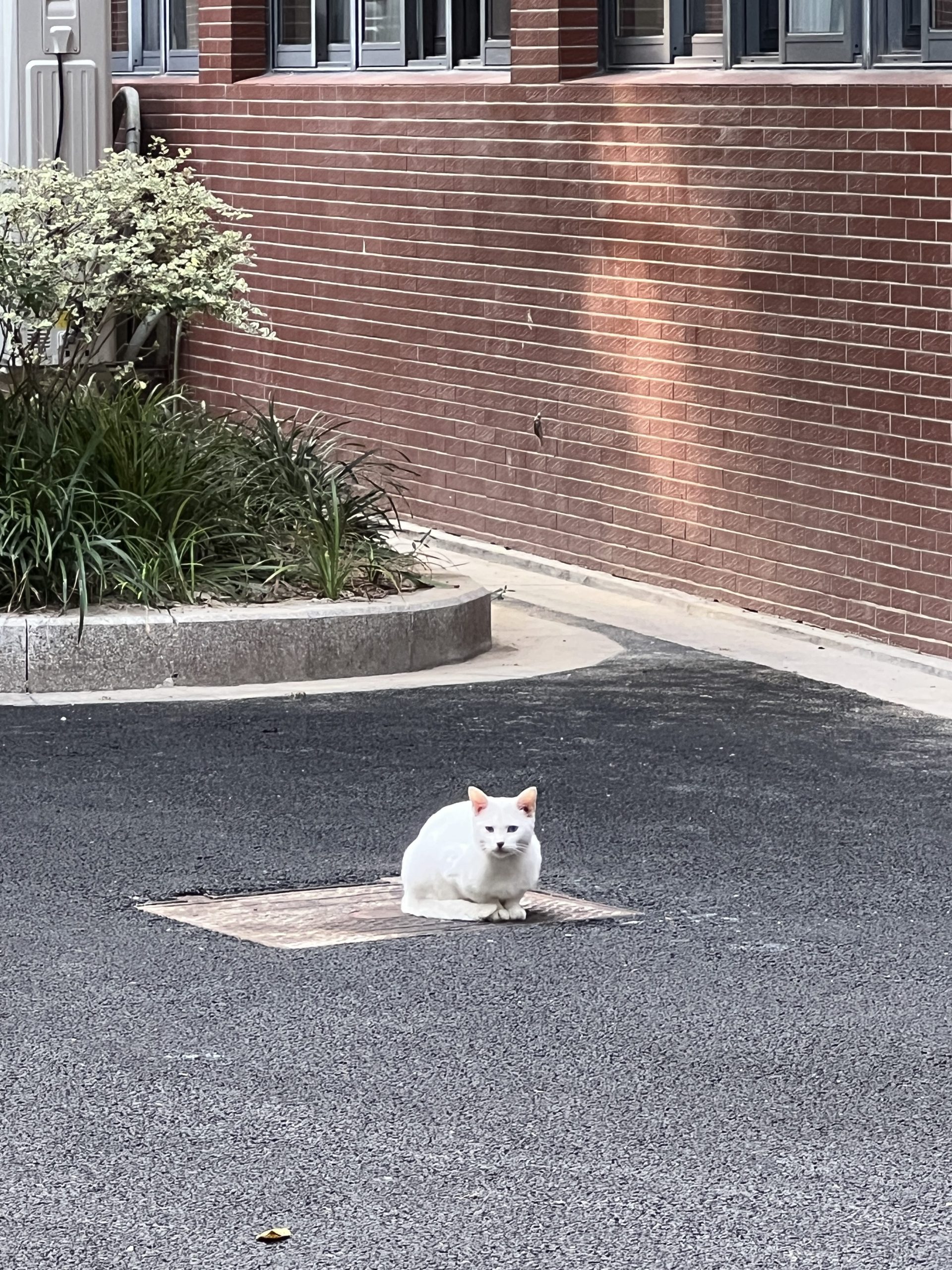 2025.11.1 周六 晴 舒适闲逛新鲜。