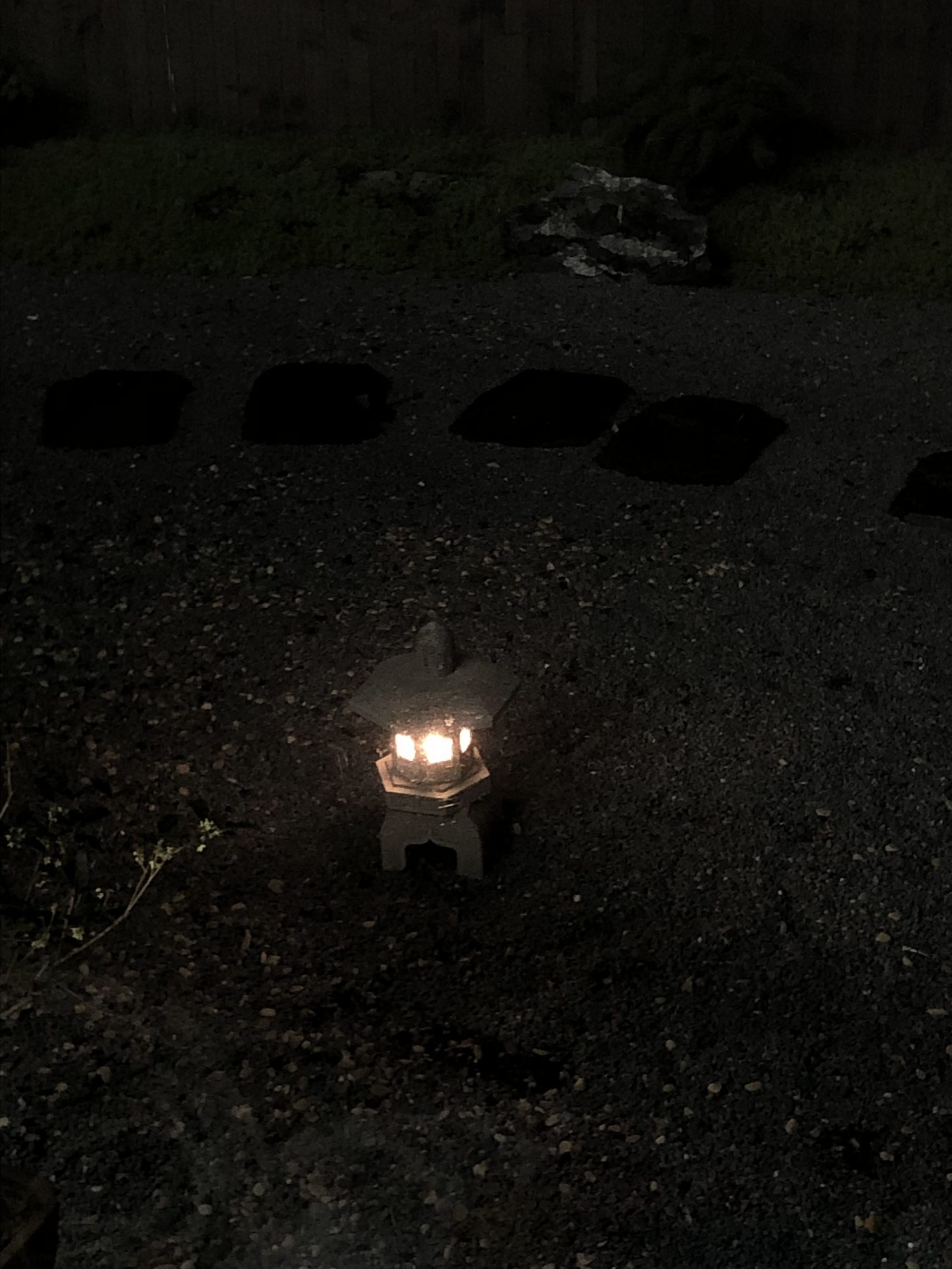 2025.12.15 周一 晴 忙碌的一天。