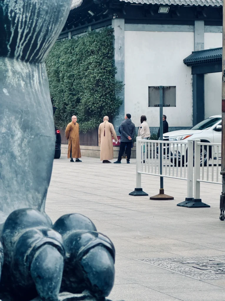 2026.3.26 周四 晴 听到鸟叫声啦。