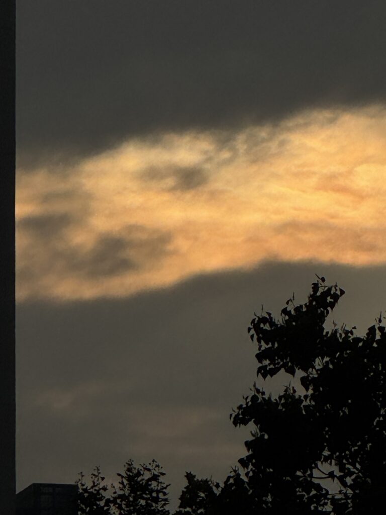 2026.6.22 周一 晴 累🥱