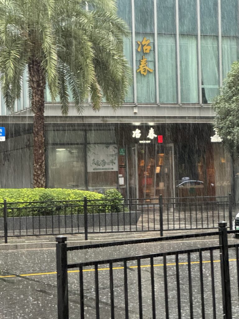 2026.8.9 周日 暴雨