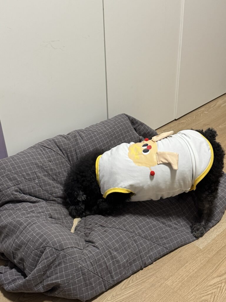 生活细节的记录者。